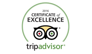 tripadvisor